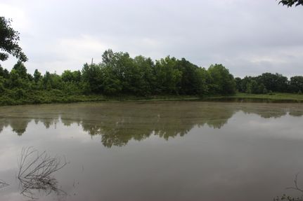 Undeveloped Land for sale in Yazoo County, Mississippi