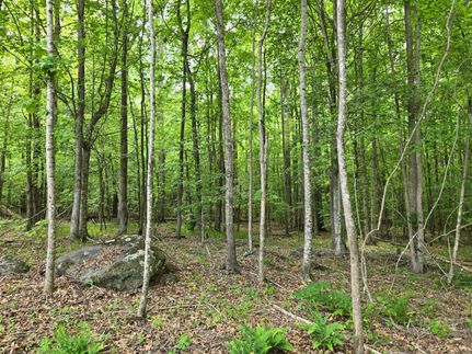 Property for sale in Randolph County, Alabama