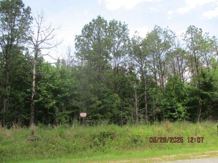 Property for sale in Clarke County, Alabama