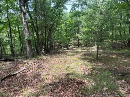 Undeveloped Land for sale in Hampshire County, West Virginia
