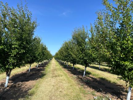 Property for sale in Tehama County, California