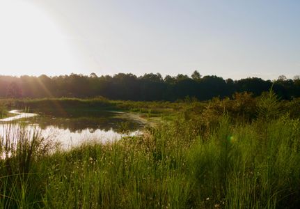 Property for sale in Decatur County, Georgia