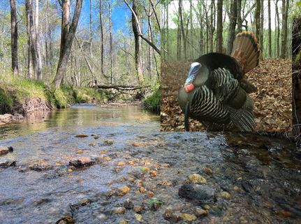 Property for sale in Coosa County, Alabama