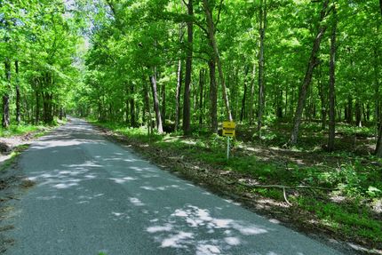 Property in Saline County, Illinois