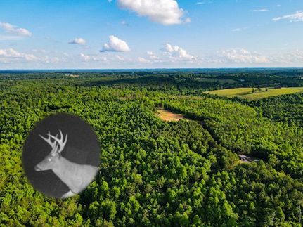 Property for sale in Franklin County, Alabama