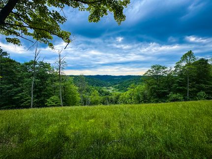 Timberland Property for sale in Tyler County, West Virginia