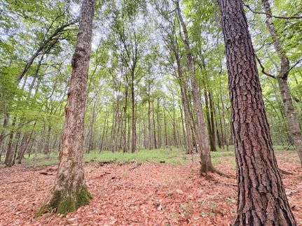 Property for sale in Jasper County, Texas