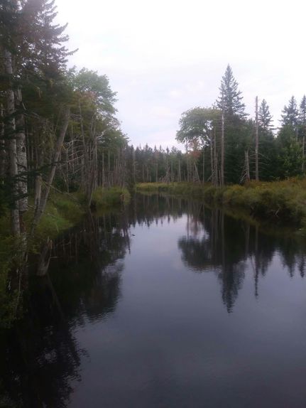 Property in Hancock County, Maine