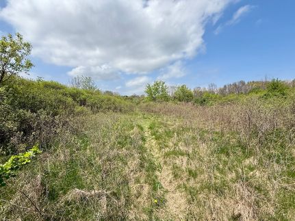 Hunting Land for sale in Jackson County, Michigan
