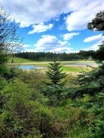 Property in Lake County, Montana
