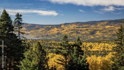 Property for sale in Colfax County, New Mexico