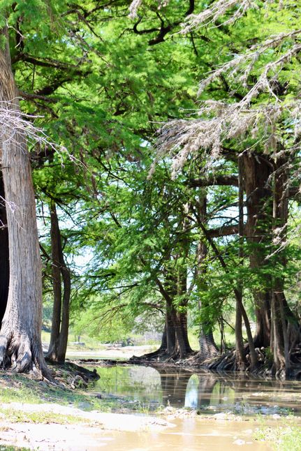 Property for sale in Kendall County, Texas