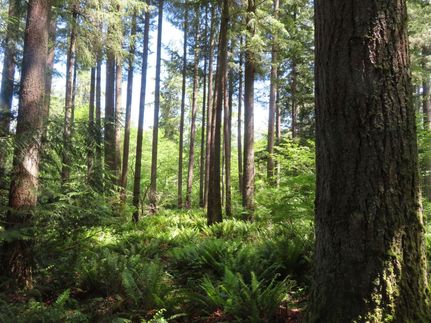 Property for sale in Thurston County, Washington