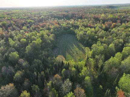 Property for sale in Price County, Wisconsin