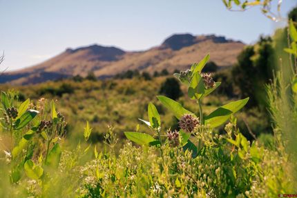 Property for sale in Rio Grande County, Colorado