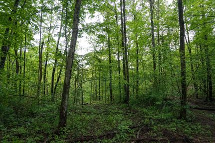 Ranch Property for sale in Monroe County, Ohio