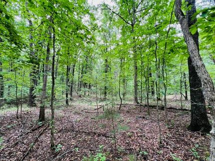 Property for sale in Texas County, Missouri