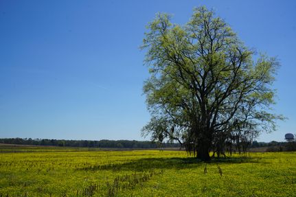 Horse Property for sale in Montgomery County, Alabama