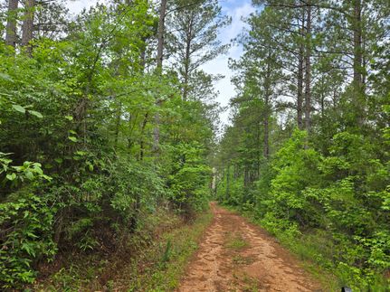 Property for sale in Tallapoosa County, Alabama