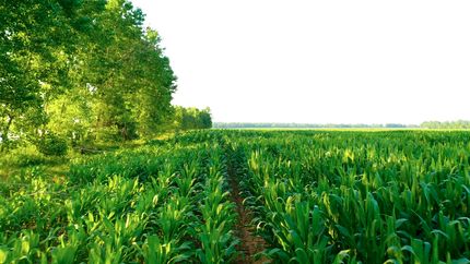 Property for sale in McCurtain County, Oklahoma