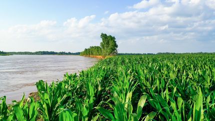 Farm Property for sale in McCurtain County, Oklahoma