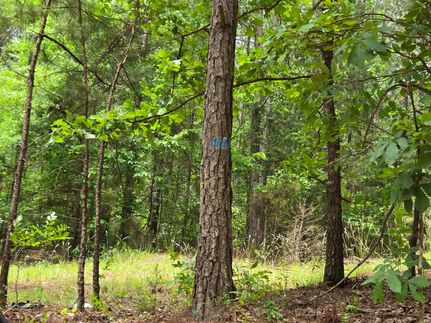 Residential Property for sale in Tallapoosa County, Alabama