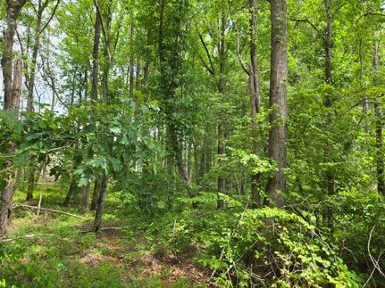 Property for sale in Tallapoosa County, Alabama