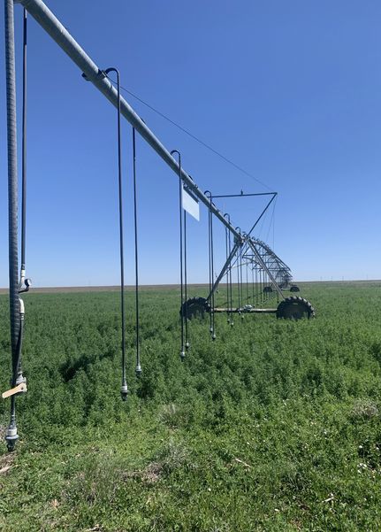 Property for sale in Texas County, Oklahoma