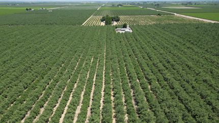 Property for sale in Madera County, California