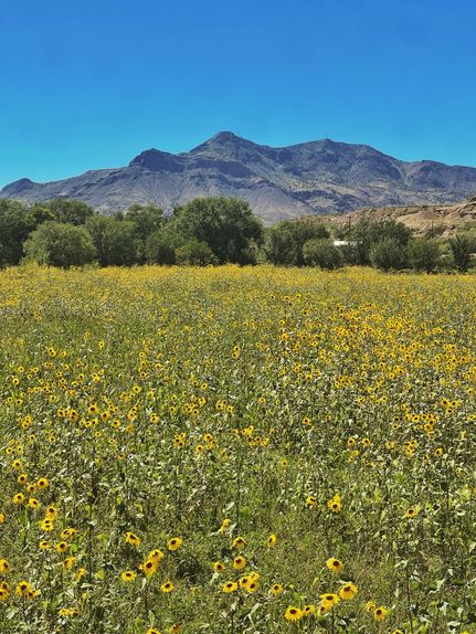 Property for sale in Socorro County, New Mexico