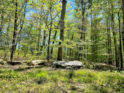 Undeveloped Land for sale in Hall County, Georgia