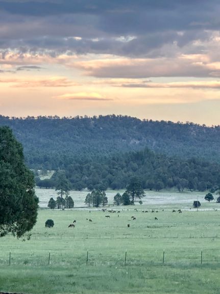 Farm Property for sale in Grant County, New Mexico