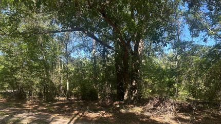 Property for sale in Screven County, Georgia