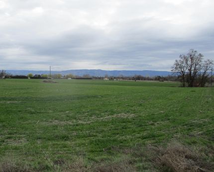 Horse Property for sale in Walla Walla County, Washington