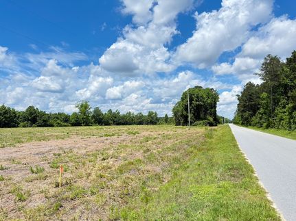 Undeveloped Land for sale in Dillon County, South Carolina