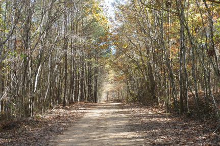 Property in Franklin County, Alabama