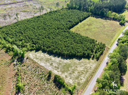 Hunting Land for sale in Colleton County, South Carolina