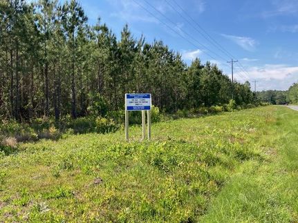 Timberland Property for sale in Union County, Florida