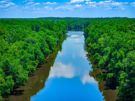 Property for sale in Pender County, North Carolina