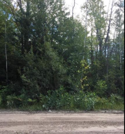 Undeveloped Land for sale in Alpena County, Michigan
