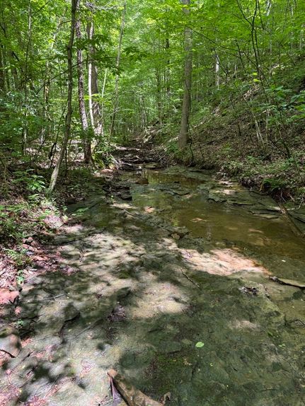 Hunting Land for sale in Metcalfe County, Kentucky