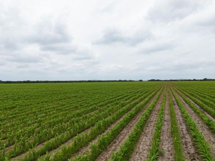 Recreational Property for sale in Uvalde County, Texas