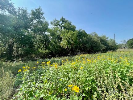 Undeveloped Land for sale in Comal County, Texas