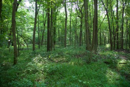 Property for sale in Hopkins County, Kentucky