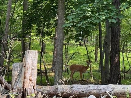 Property for sale in Lycoming County, Pennsylvania