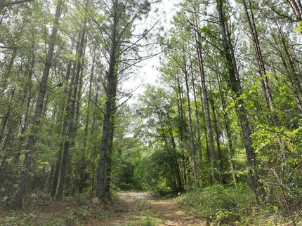 Property for sale in Stewart County, Georgia