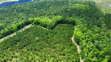 Timberland Property for sale in Georgetown County, South Carolina