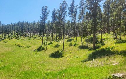 Property for sale in Weston County, Wyoming