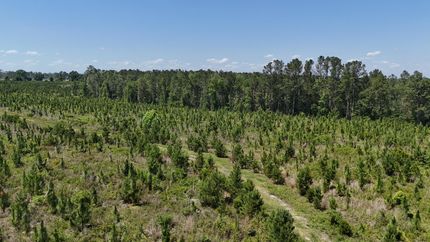 Timberland Property for sale in Toombs County, Georgia