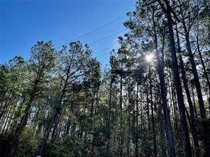 Property for sale in Tyler County, Texas